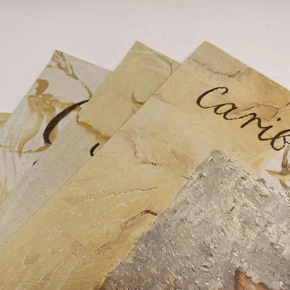 Lot Of 4 Shell‎ Art Prints 12x12 Caribbean, Japan, Gulf of Mexico, Indo Pacific - Picture 5 of 10